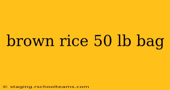 brown rice 50 lb bag