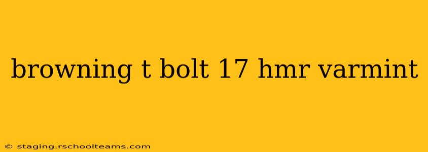 browning t bolt 17 hmr varmint