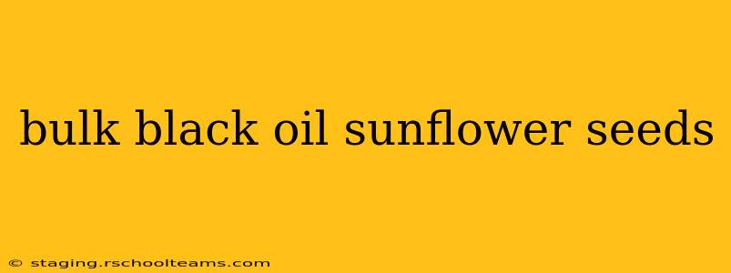 bulk black oil sunflower seeds