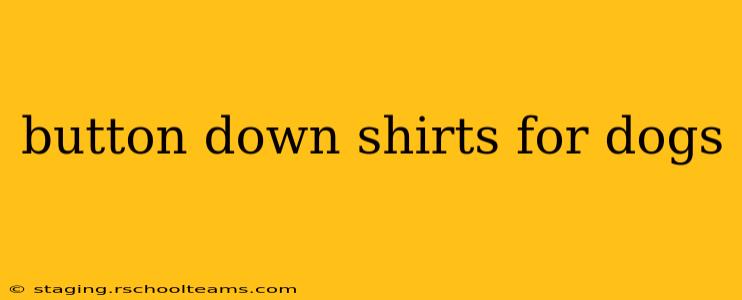 button down shirts for dogs