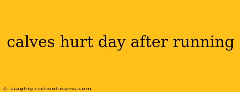 calves hurt day after running