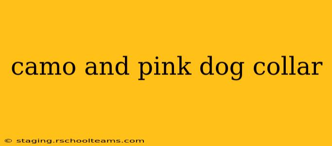 camo and pink dog collar