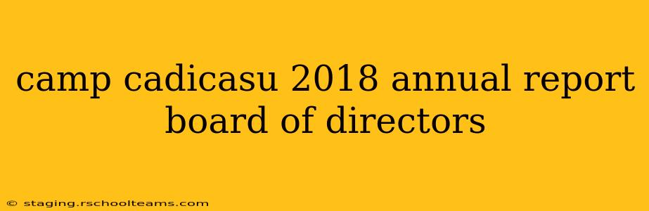 camp cadicasu 2018 annual report board of directors