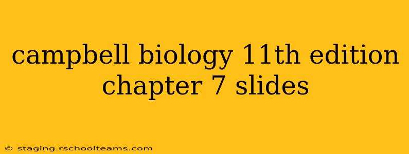 campbell biology 11th edition chapter 7 slides