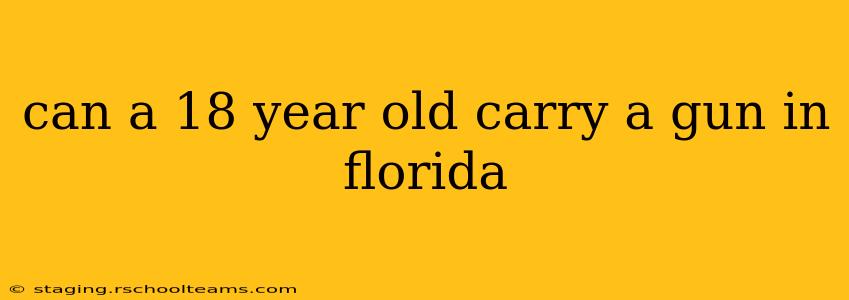 can a 18 year old carry a gun in florida