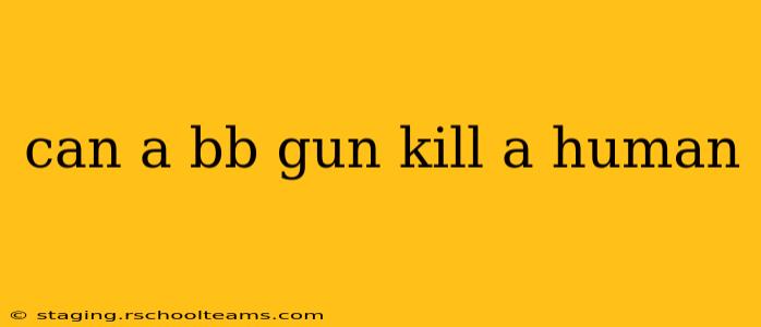 can a bb gun kill a human