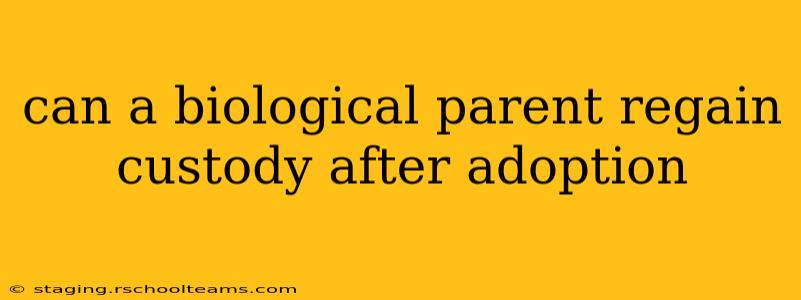can a biological parent regain custody after adoption