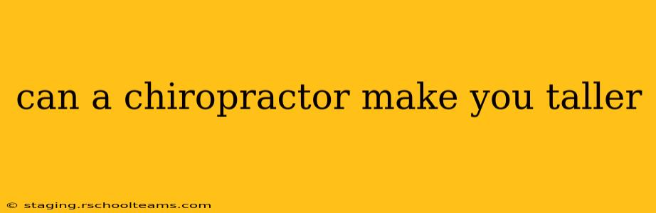 can a chiropractor make you taller