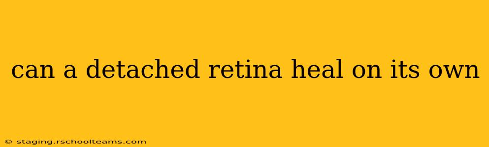 can a detached retina heal on its own