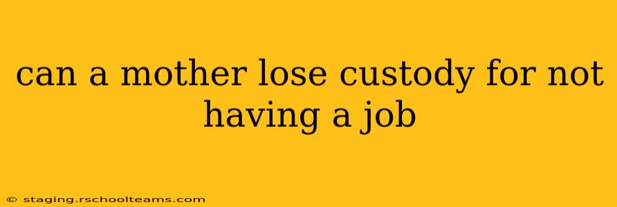 can a mother lose custody for not having a job