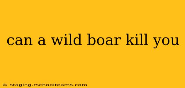 can a wild boar kill you
