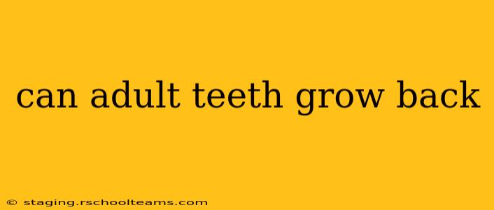 can adult teeth grow back