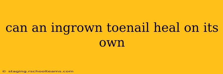 can an ingrown toenail heal on its own