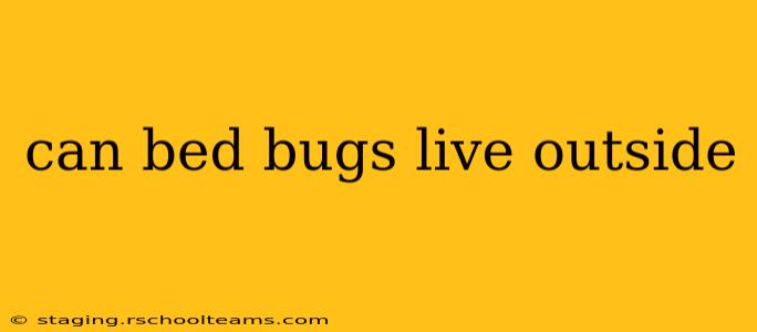 can bed bugs live outside