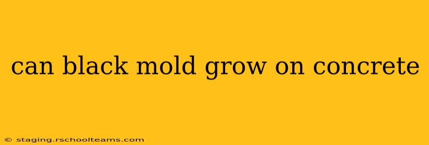 can black mold grow on concrete