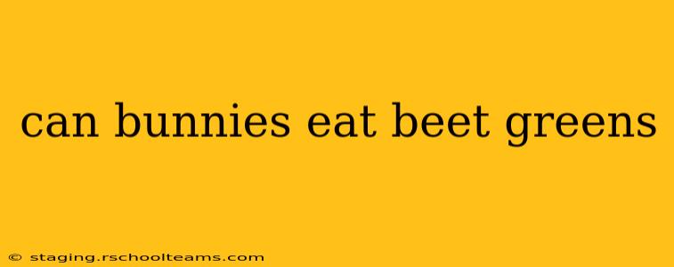 can bunnies eat beet greens