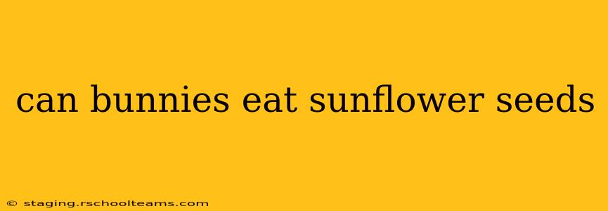 can bunnies eat sunflower seeds