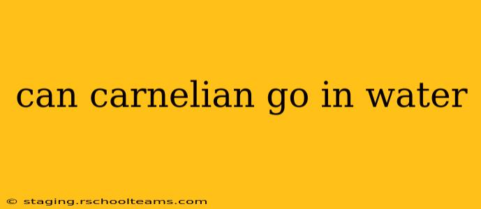 can carnelian go in water