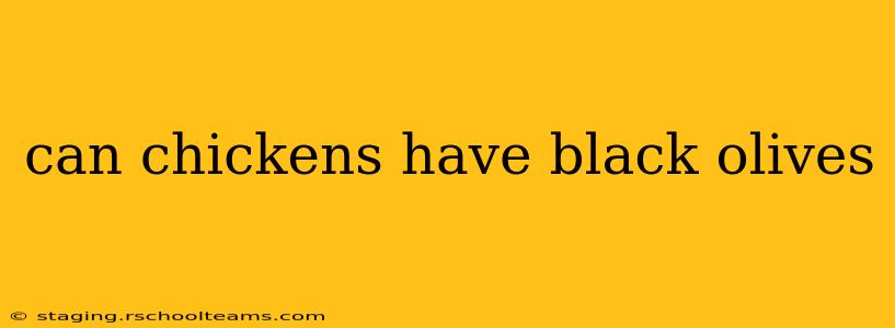 can chickens have black olives