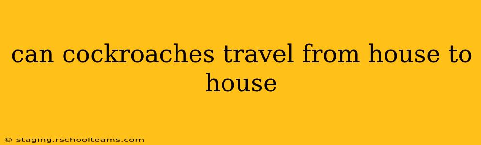 can cockroaches travel from house to house