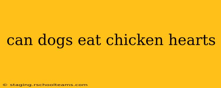 can dogs eat chicken hearts