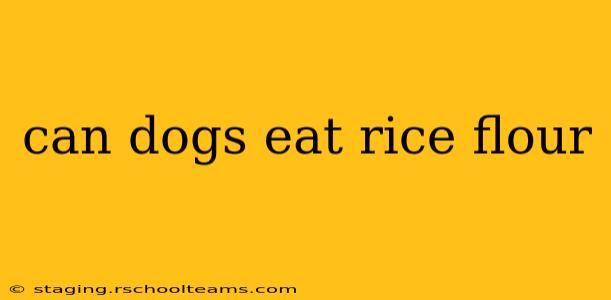 can dogs eat rice flour