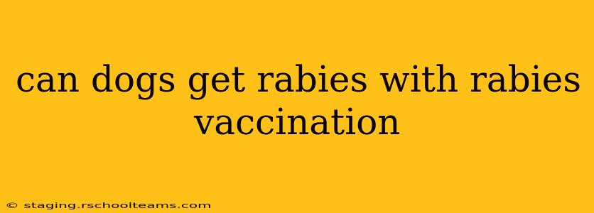can dogs get rabies with rabies vaccination