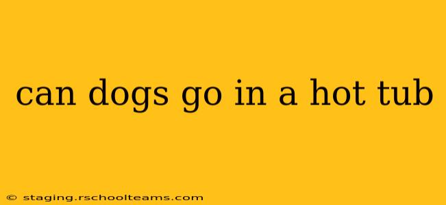 can dogs go in a hot tub