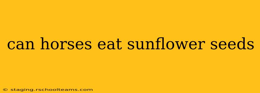 can horses eat sunflower seeds