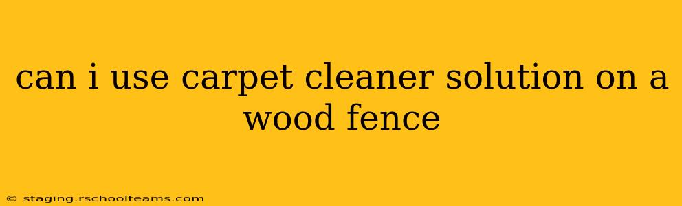 can i use carpet cleaner solution on a wood fence