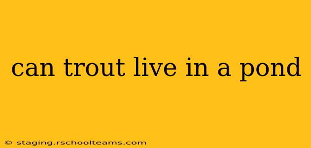can trout live in a pond