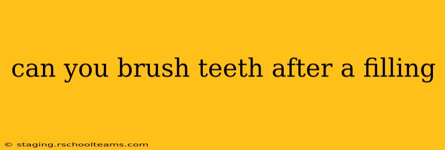 can you brush teeth after a filling