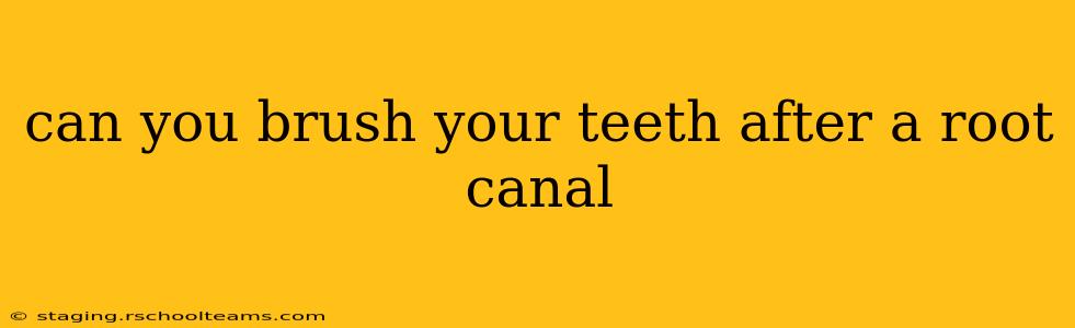 can you brush your teeth after a root canal