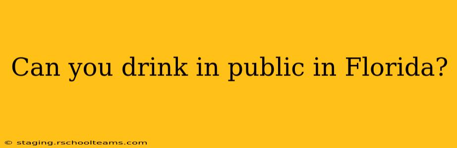 Can you drink in public in Florida?