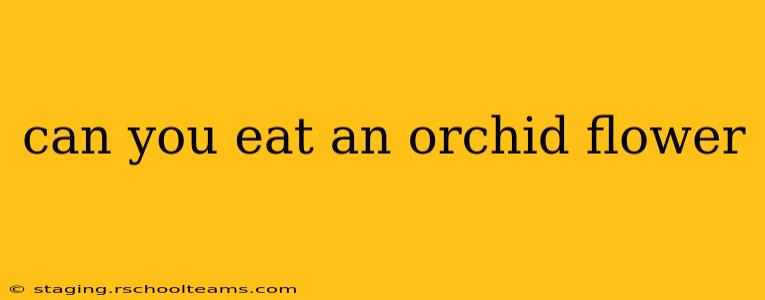 can you eat an orchid flower