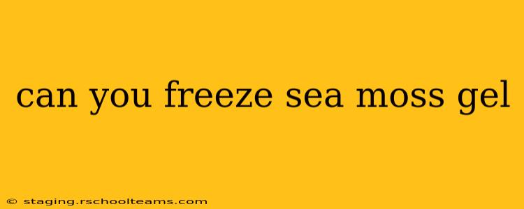 can you freeze sea moss gel