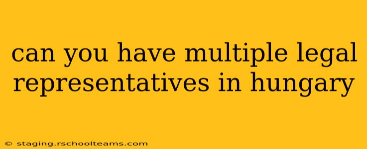 can you have multiple legal representatives in hungary