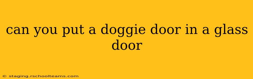 can you put a doggie door in a glass door