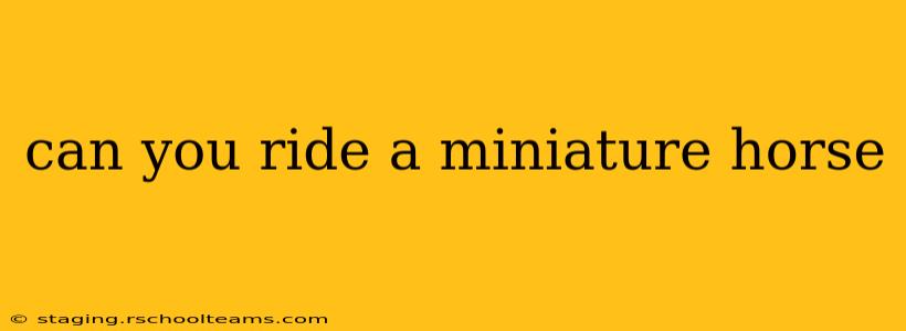 can you ride a miniature horse