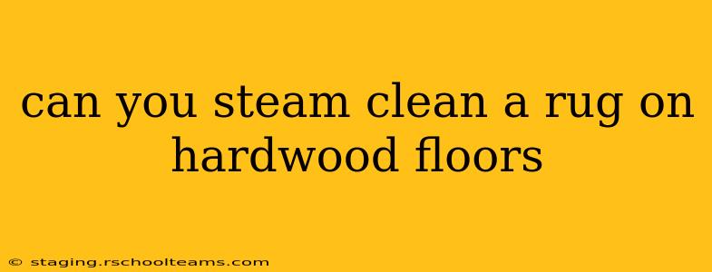 can you steam clean a rug on hardwood floors