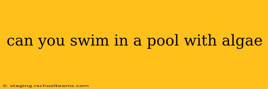 can you swim in a pool with algae