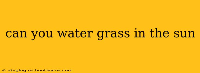 can you water grass in the sun