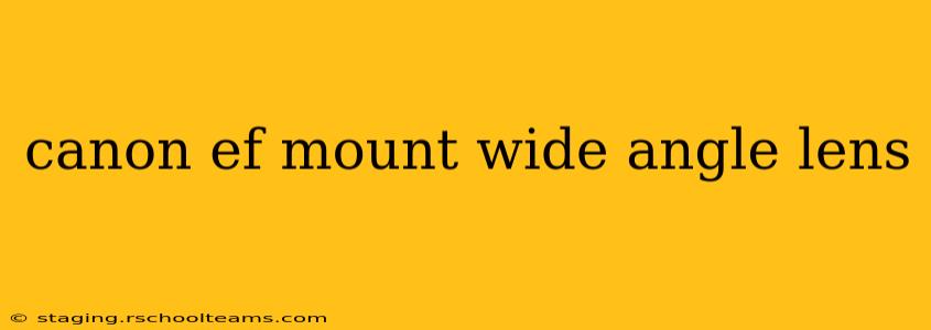 canon ef mount wide angle lens