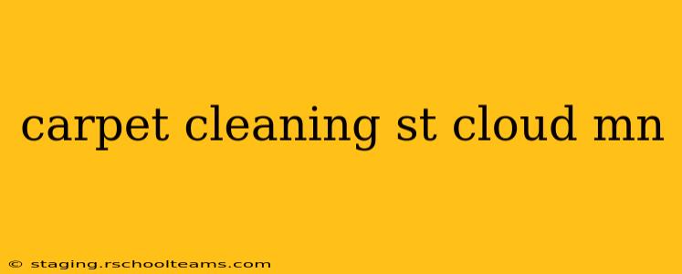 carpet cleaning st cloud mn