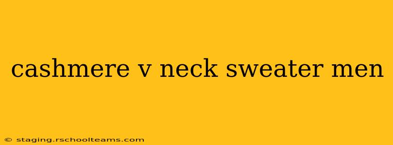 cashmere v neck sweater men