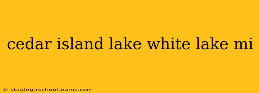 cedar island lake white lake mi