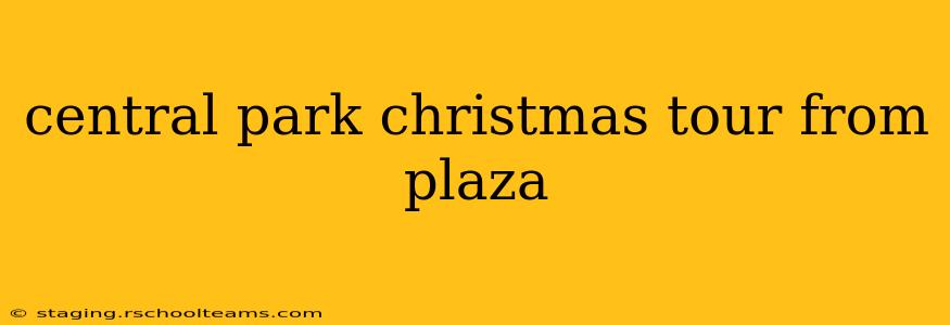 central park christmas tour from plaza