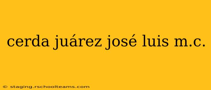 cerda juárez josé luis m.c.