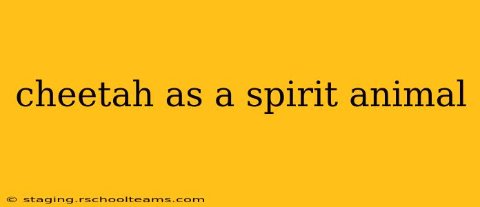 cheetah as a spirit animal