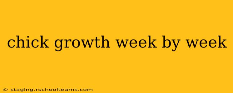 chick growth week by week